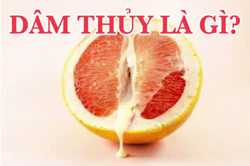 Dâm thủy là gì