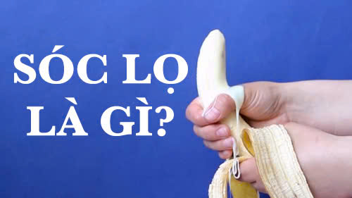 sóc lọ là gì